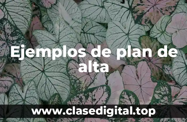 Ejemplos de plan de alta