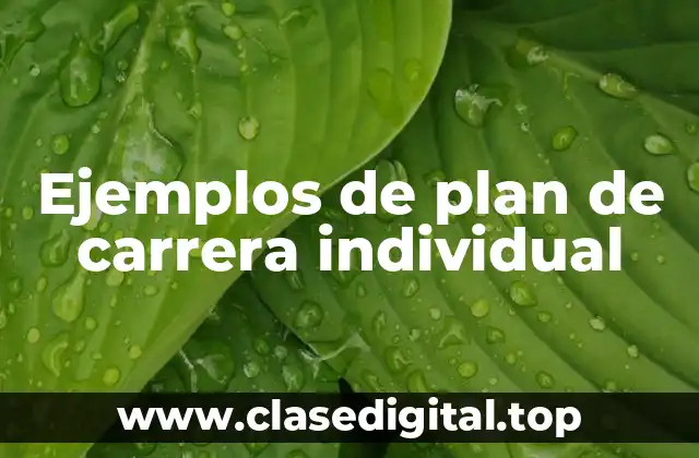 Ejemplos de plan de carrera individual