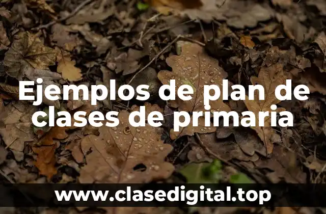 Ejemplos de plan de clases de primaria