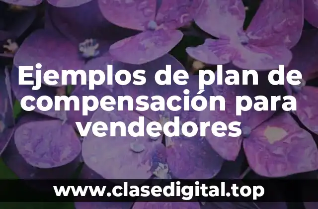 Ejemplos de plan de compensación para vendedores