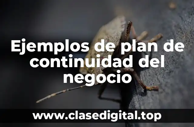Ejemplos de plan de continuidad del negocio