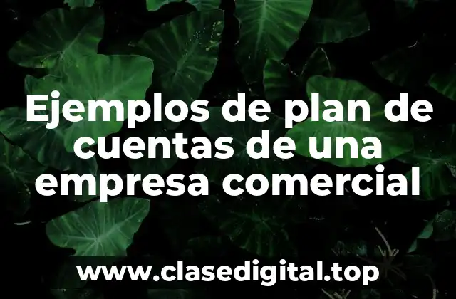 Ejemplos de plan de cuentas de una empresa comercial