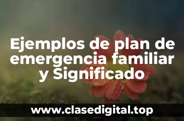 Ejemplos de plan de emergencia familiar y Significado