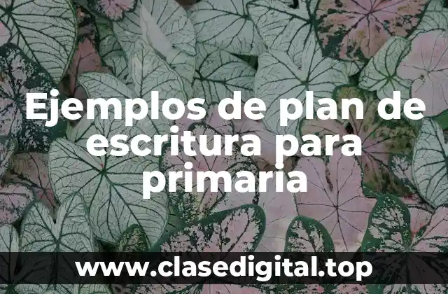 Ejemplos de plan de escritura para primaria