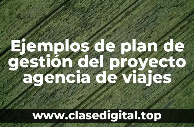 Ejemplos de plan de gestión del proyecto agencia de viajes