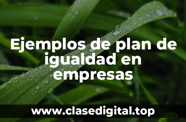 Ejemplos de plan de igualdad en empresas