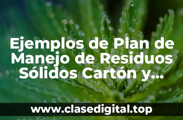 Ejemplos de Plan de Manejo de Residuos Sólidos Cartón y Significado