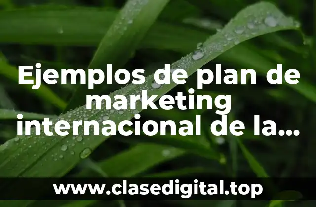 Ejemplos de plan de marketing internacional de la empresa Durex