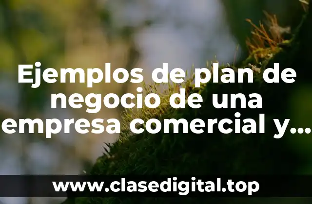 Ejemplos de plan de negocio de una empresa comercial y Significado