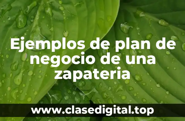 Ejemplos de plan de negocio de una zapateria