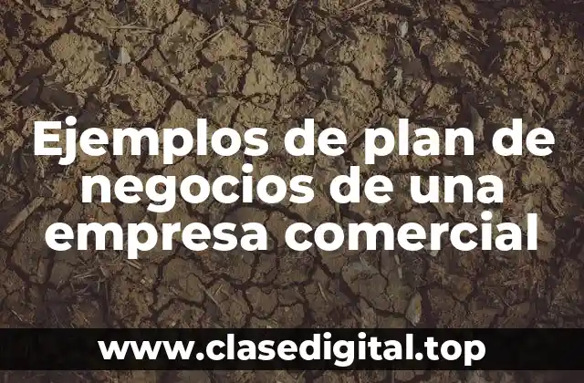 Ejemplos de plan de negocios de una empresa comercial