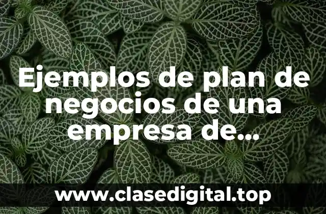 Ejemplos de plan de negocios de una empresa de artesanías