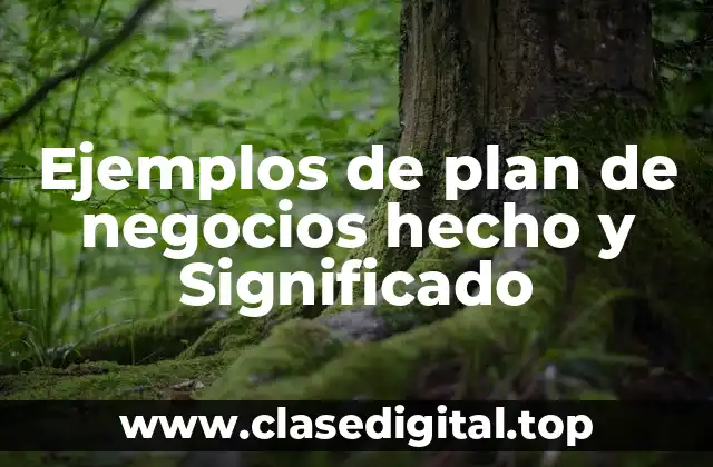 Ejemplos de plan de negocios hecho