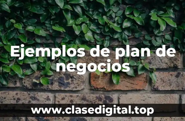 Ejemplos de plan de negocios