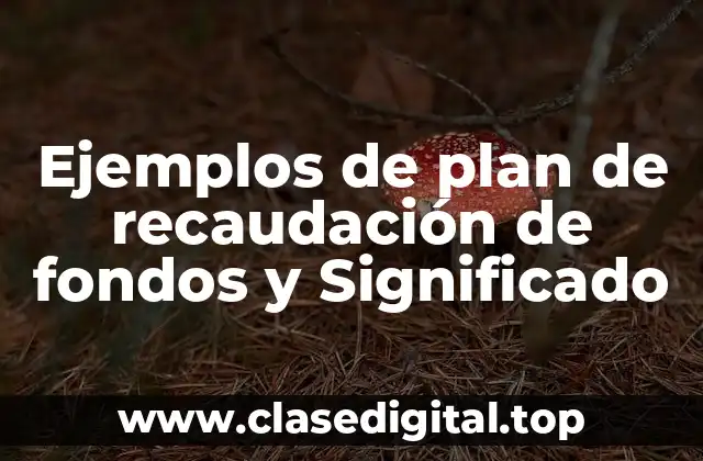Ejemplos de plan de recaudación de fondos y Significado