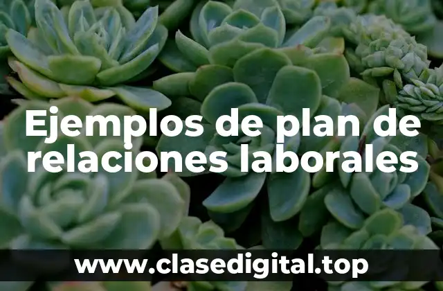 Ejemplos de plan de relaciones laborales