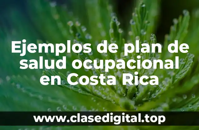 Ejemplos de plan de salud ocupacional en Costa Rica