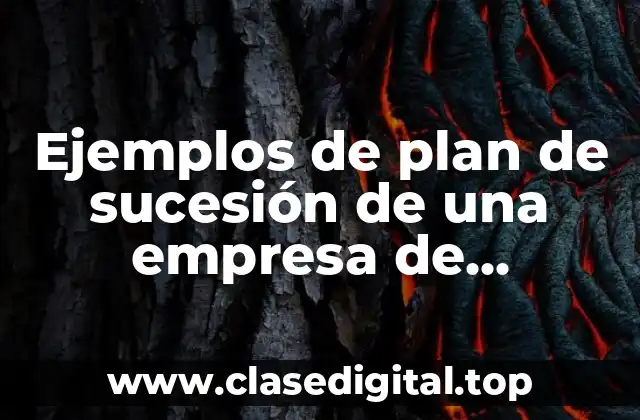 Ejemplos de plan de sucesión de una empresa de construcción