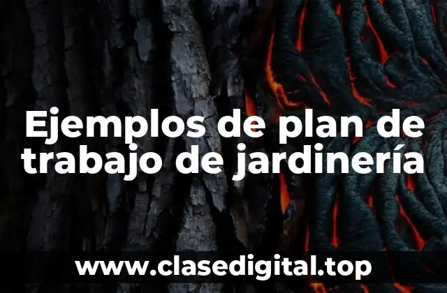 Ejemplos de plan de trabajo de jardinería