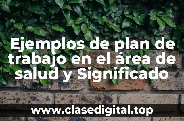 Ejemplos de plan de trabajo en el área de salud y Significado