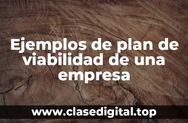 Ejemplos de plan de viabilidad de una empresa