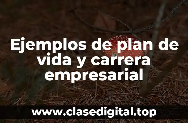 Ejemplos de plan de vida y carrera empresarial
