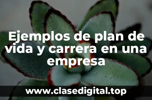 Ejemplos de plan de vida y carrera en una empresa
