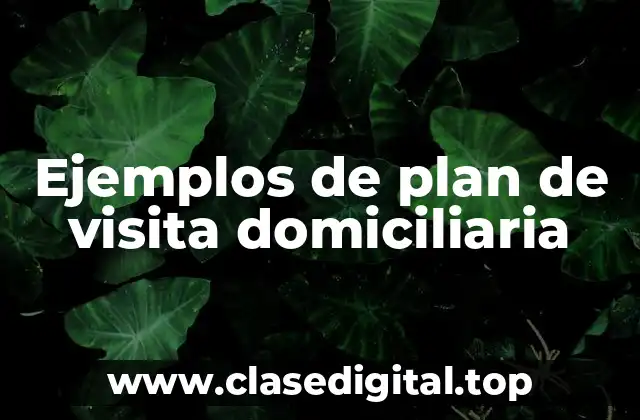 Ejemplos de plan de visita domiciliaria