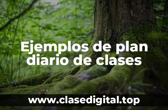 Ejemplos de plan diario de clases
