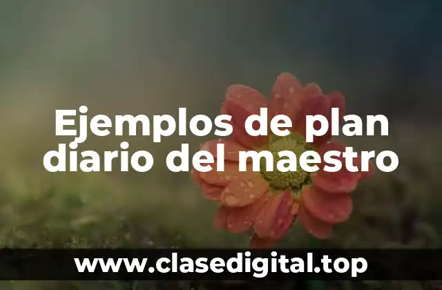 Ejemplos de plan diario del maestro