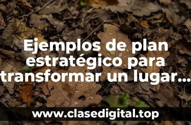 Ejemplos de plan estratégico para transformar un lugar en turístico y Significado