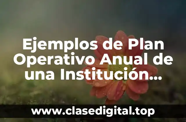 Ejemplos de Plan Operativo Anual de una Institución Educativa