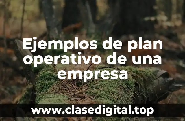 Ejemplos de plan operativo de una empresa