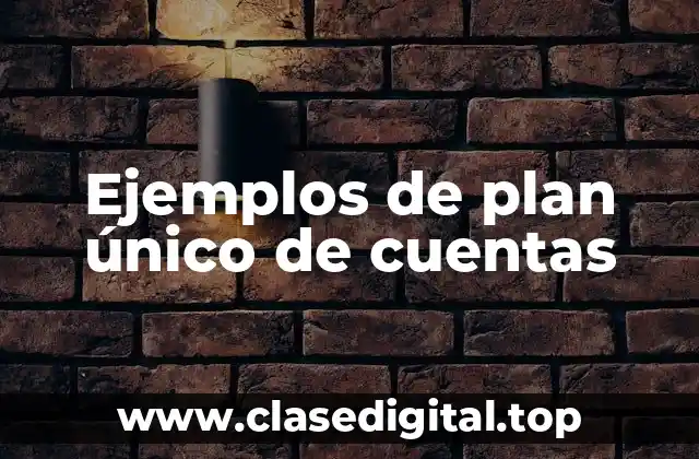 Ejemplos de plan único de cuentas