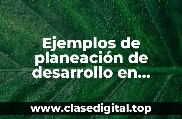 Ejemplos de planeación de desarrollo en Valladolid Yucatan y Significado