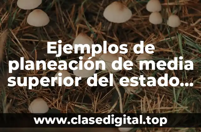 Ejemplos de planeación de media superior del estado de México