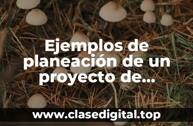 Ejemplos de planeación de un proyecto de investigación