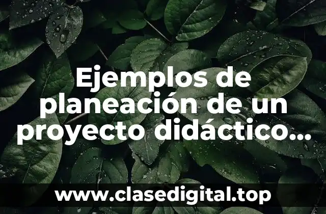 Ejemplos de planeación de un proyecto didáctico tercero de primaria