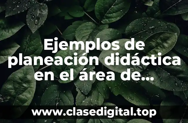 Ejemplos de planeación didáctica en el área de alimentos secundaria