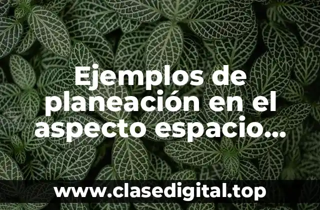 Ejemplos de planeación en el aspecto espacio forma y medida