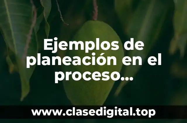 Ejemplos de planeación en el proceso administrativo