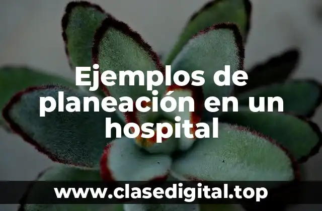 Ejemplos de planeación en un hospital