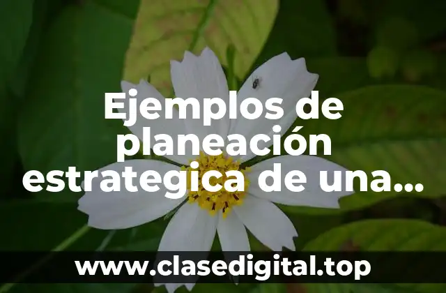 Ejemplos de planeación estrategica de una empresa