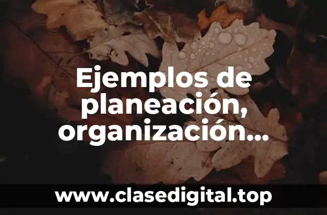 Ejemplos de planeación, organización, dirección y control