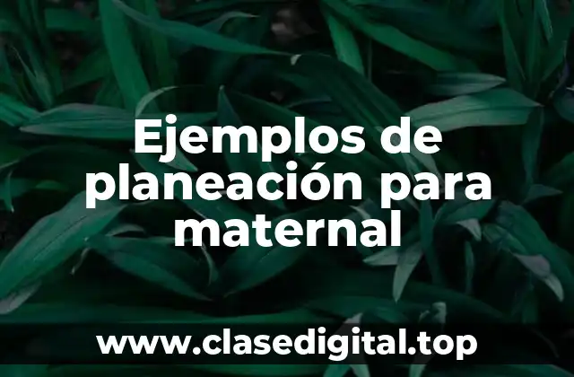 Ejemplos de planeación para maternal