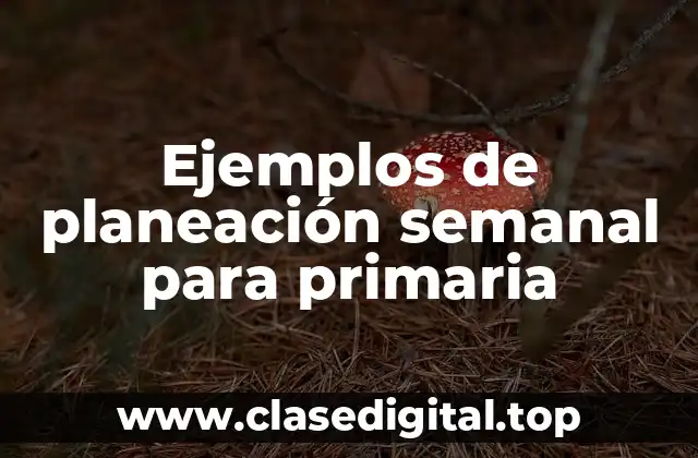 Ejemplos de planeación semanal para primaria
