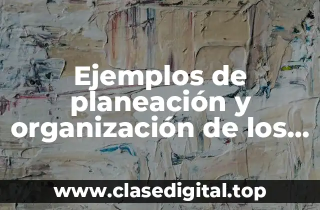 Ejemplos de planeación y organización de los proceso técnico