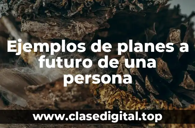Ejemplos de planes a futuro de una persona