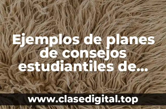 Ejemplos de planes de consejos estudiantiles de escuelas públicas