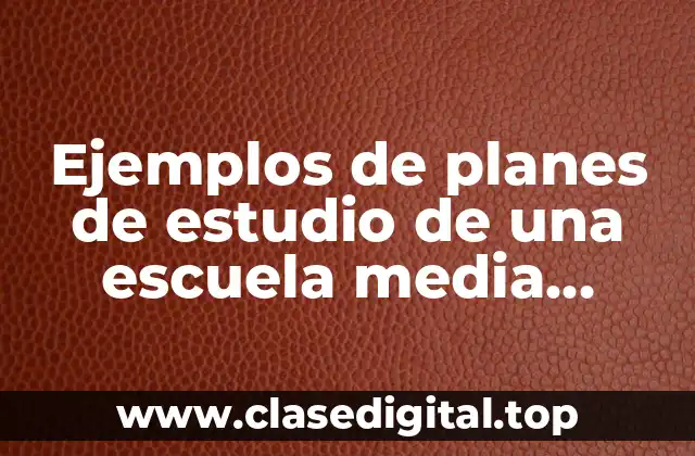 Ejemplos de planes de estudio de una escuela media superior